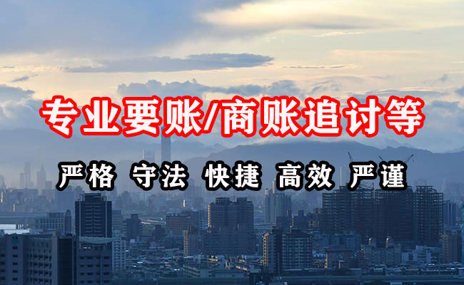 海陵追账公司